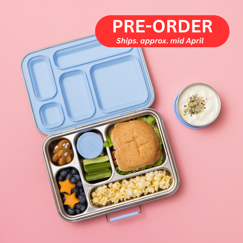 Five Compartment Leakproof Stainless Steel Lunch Box (Blue Seal & Lids)